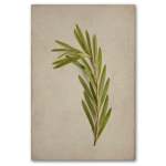 Fynbos 4 Art Print - 100CM X 150CM No Frame Print Only
