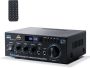 Hifi Stereo MINI Powered Amps 40W X 2 Home Theater Audio Components