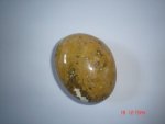 Ocean Jasper Free Form SSP81