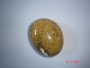 Ocean Jasper Free Form SSP81