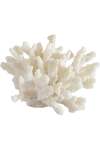 Classic Coral Decor - Black