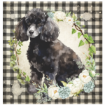 FSC2384 Printed Blanket Assorted