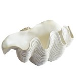 Giant Clam Shell Decor
