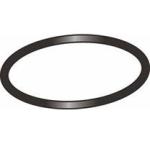 Speck Pump Lid O-ring 90 Series