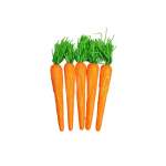 Easter Carrot Five Pack