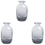 3 Pack - Decorative Round Tinted Glass Flower Vase
