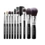 10 Piece Blush Foundation Makeup Brushes Set