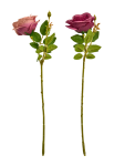 Artificial Single Stem Rose Flower - None Purple Wine