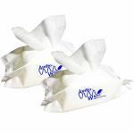 Audiowipes Towelettes Portable Pouch - By Audiologist's Choice 2 Pack