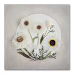 Secret Garden Ivory Art Print - 100 X 100CM No Frame Print Only
