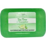Clicks Skincare Collection Tea Tree & Cucumber Glycerine Bar 100G