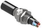 NO.4 Swa Gland 050304