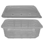 Clear Punnet T7 + Lid