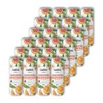 - Tangerine Grapefruit Sparkling Ice Tea Case 24 X 300ML