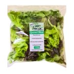 Starke Ayres Lettuce Great Lakes Seeds