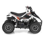 Big Boy Puma 110