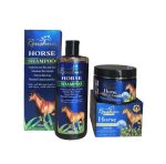 Roushun Anti-hair Loss Combo Shampoo And Treatment 2X 300ML