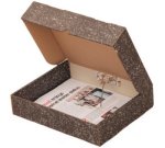 Rexel Rexpro Springclip Box File – 129080