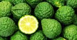 Bergamot Concentrate - 10ML