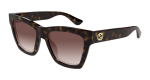 Gucci Sunglasses Womens In Havana Brown GG1714S-002 - Havana Onesize