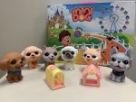 MINI Dog Set