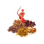 Fruit Tea - Merry Strawberry - 1 Kg