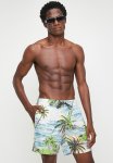 Quiksilver Everyday Mix Volley 17NB - Beach Glass