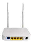 Subscriber Onu Wifi 1X Gb 3X 100MBPS