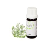 Escentia Sweet Fennel Pure Essential Oil Foeniculum Vulgare - 10ML