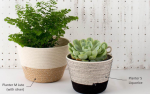 Liquorice Planter Basket - Medium