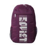 Plum Soviet Beavers 21 Backpacks Dark