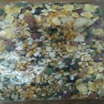 Radical Pets Fruity Crunch Mix 300G