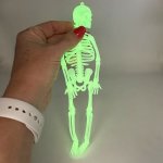 Glow In The Dark Skeleton 21CM