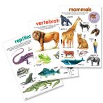 Educa T 3 Wall Chart Basic Tion Pack 9
