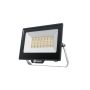- 30W 3CCT Patrol V2 Day & Night Sensor Floodlight - Black