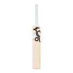 Ghost Pro 1.0 Sh Cricket Bat