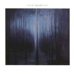 Night Forest Cd
