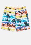 PoP Candy Printed Board Shorts- Multi