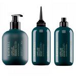 RAYWELL B.io Lamellar Shampoo Liquid Conditioner Thermo Shimmer Spray