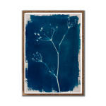 Dried Fennel 2 I Art Print - A3