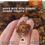 Ahfs Bite Size & Training Horse Treat