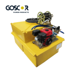 Tandem Torx XT196 2 Trash Pump