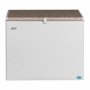 Gas/electric Chest Freezer GF215 215L
