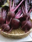 Beetroot Bulls Blood Seed - 500 G Raw Seed