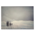 Quintessentially Quiet 1 Art Print - A0 No Frame Print Only