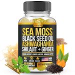 Sea Moss Black Seed Oil Ashwagandha Ginger Shilajit Gummies With Elderberry Chlorophyll Turmeric Bladderwrack Sea Moss Gummies A