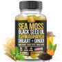 Sea Moss Black Seed Oil Ashwagandha Ginger Shilajit Gummies With Elderberry Chlorophyll Turmeric Bladderwrack Sea Moss Gummies Advanced Strength