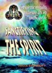 Sanctifying The Spirit Paperback