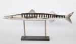 Silver Barracuda On Stand 40X87CM