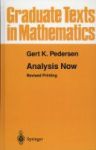 Analysis Now Hardcover 1st Ed. 1989. Corr. 2nd Printing 2001